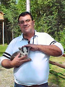 George DeLange With Iditerod Sled Dog Puppy. Alaska Travels & Tours Pictures, Photos, Images, & Reviews.