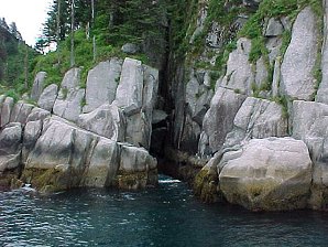 Black Cormorant. Alaska Kenai Fjord Cruise. Travels & Tours Pictures, Photos, Images, & Reviews.
