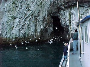 The Bee Hive. Alaska Kenai Fjord Cruise. Travels & Tours Pictures, Photos, Images, & Reviews.