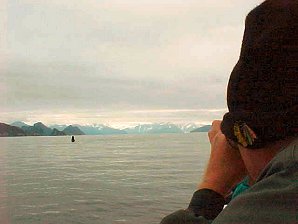 Humpback Whale. Alaska Kenai Fjord Cruise. Travels & Tours Pictures, Photos, Images, Reviews.