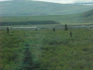Tundra. Palmer To Denali Alaska. Travels & Tours Pictures, Photos, Images, & Reviews.