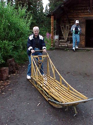 Audrey DeLange Tries Out The Dog Sled. Palmer To Denali Alaska. Travels & Tours Pictures, Photos, Images, & Reviews.