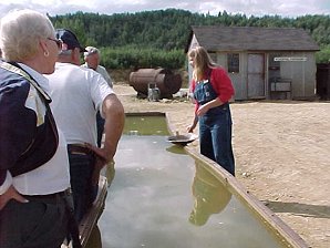 Audrey DeLange Gold Panning. Alaska Gold Dredge #8. Near Fairbanks. Alaska Travels & Tours Pictures, Photos, Images, & Reviews.