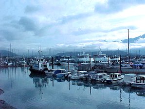 Seward Harbor. Kenai Fjord Cruise. Alaska Travels & Tours Pictures, Photos, Images, & Reviews.