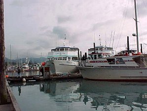 Cruise Ships Seward Harbor. Kenai Fjord Cruise. Alaska Travels & Tours Pictures, Photos, Images, & Reviews.