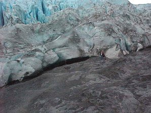 Large Glacier. Exit Glacier. Alaska Travels & Tours Pictures, Photos, Images, & Reviews.