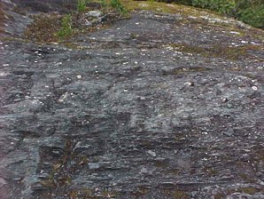 Rock. Exit Glacier. Alaska Travels & Tours Pictures, Photos, Images, & Reviews.