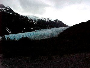 Easy Walk. Exit Glacier. Alaska Travels & Tours Pictures, Photos, Images, & Reviews.