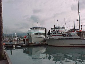 Tour Boats. Seward Alaska. Travels & Tours Pictures, Photos, Images, & Reviews.