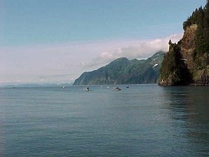 Halibut Fishing. Alaska Kenai Fjord Cruise. Travels & Tours Pictures, Photos, Images, & Reviews.