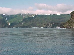 Halibut Fishing. Alaska Kenai Fjord Cruise. Travels & Tours Pictures, Photos, Images, & Reviews.