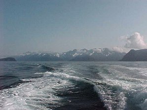 Resurrection Bay. Alaska Kenai Fjord Cruise. Travels & Tours Pictures, Photos, Images, & Reviews.