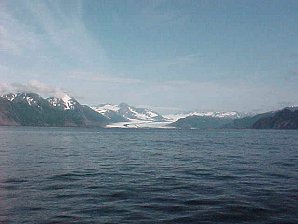 Bear Glacier. Alaska Kenai Fjord Cruise. Travels & Tours Pictures, Photos, Images, & Reviews.