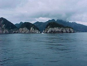 Salmon Fishing. Alaska Kenai Fjord Cruise. Travels & Tours Pictures, Photos, Images, & Reviews.