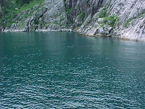 Salmon Shark. Alaska Kenai Fjord Cruise. Travels & Tours Pictures, Photos, Images, & Reviews.