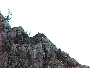 Two Eagles. Alaska Kenai Fjord Cruise. Travels & Tours Pictures, Photos, Images, & Reviews.