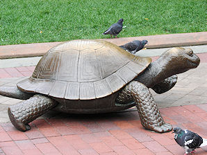 Copley Square Turtle And Hare Statues By Nancy Schn. Boston, Massachusetts. Travel, Tours Photos, Pictures, Information, & Reviews.