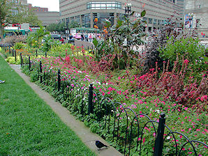 Copley Square Flowerbeds, Boston, Massachusetts. Travel, Tours Photos, Pictures, Information, & Reviews.