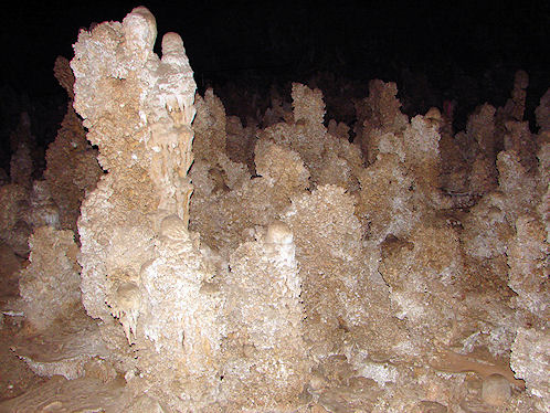 Carlsbad Cavern, New Mexico. Hikes, Travels, & Tours. Photos, Pictures, Images, & Reviews.
