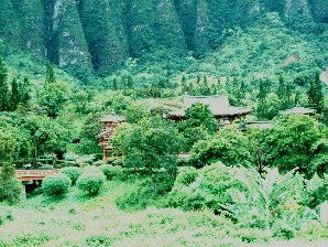 Japanese Village. Hawaii Travels & Tours Pictures, Photos, Images, Information & Reviews.