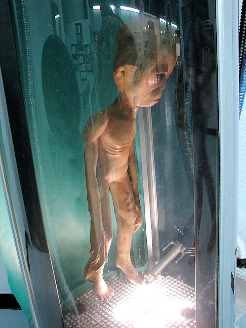 Space Aliens. International UFO Museum & Research Center. Roswell, New Mexico. Hikes, Travels, & Tours. Photos, Pictures, Images,& Reviews.