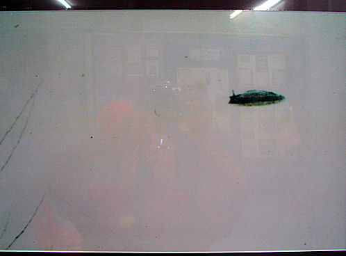 Fake Flying Saucer Photo. International UFO Museum & Research Center. Roswell, New Mexico. Hikes, Travels, & Tours. Photos, Pictures, Images, & Reviews.