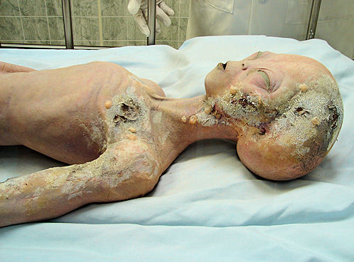 Space Alien Photo. International UFO Museum & Research Center. Roswell, New Mexico. Hikes, Travels, & Tours. Photos, Pictures, Images,& Reviews.