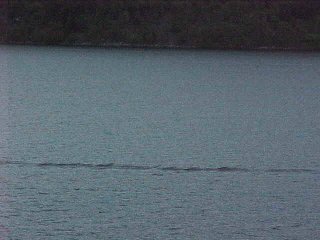 Loch Ness & Nessie. Near Inverness, Scotland In The UK. Travel & Tour Pictures, Photos, Images, Information & Reviews.