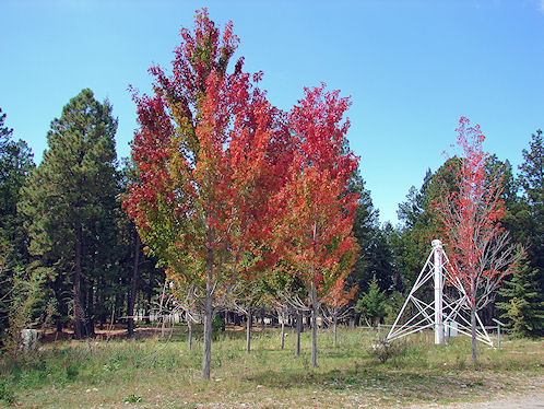Fall Leaf Color & Antarctic Telescope Used At The Antarctic Telescope Used At The Amundsen-Scott South Pole Station. National Solar Observatory, Sacramento Peak Near Sunspot In New Mexico. Hikes, Travels, & Tours. Photos, Pictures, Images,& Reviews.