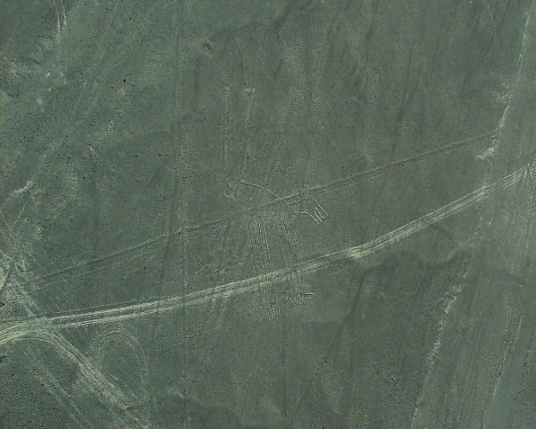 Dog Nazca Lines. Peru Travels And Tours Photos, Pictures, Images, & Reviews.