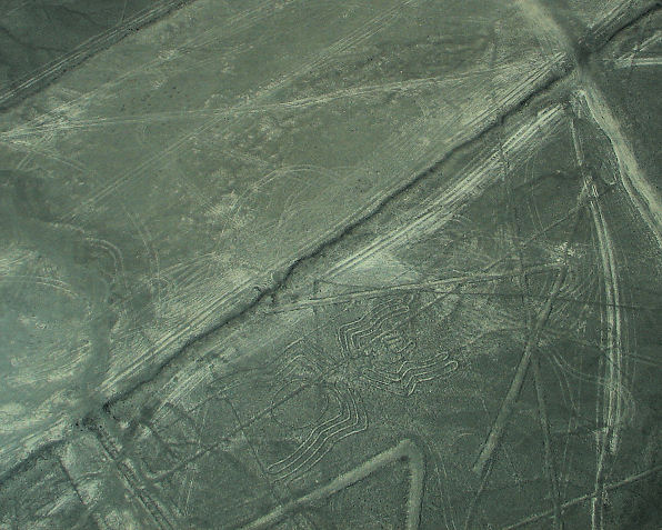Spider Nazca Lines. Peru Travels And Tours Photos, Pictures, Images, & Reviews.