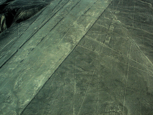 Flamingo Nazca Lines. Peru Travels And Tours Photos, Pictures, Images, & Reviews.