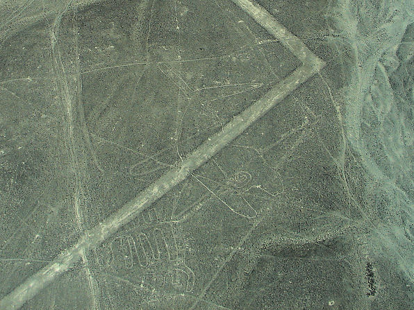 Whale Nazca Lines. Peru Travels And Tours Photos, Pictures, Images, & Reviews.