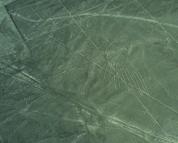 Condor Nazca Lines. Peru Travels And Tours Photos, Pictures, Images, & Reviews.