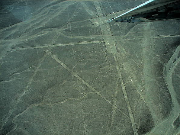 Parrot Nazca Lines. Peru Travels And Tours Photos, Pictures, Images, & Reviews.