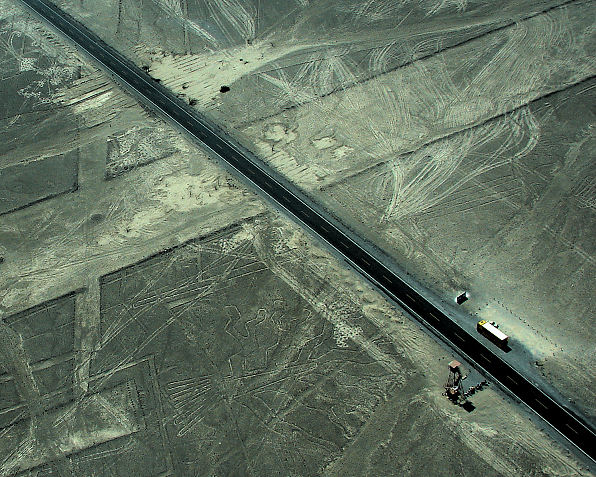 'Tree of Life' or Huarango Tree Nazca Lines. Peru Travels And Tours Photos, Pictures, Images, & Reviews.