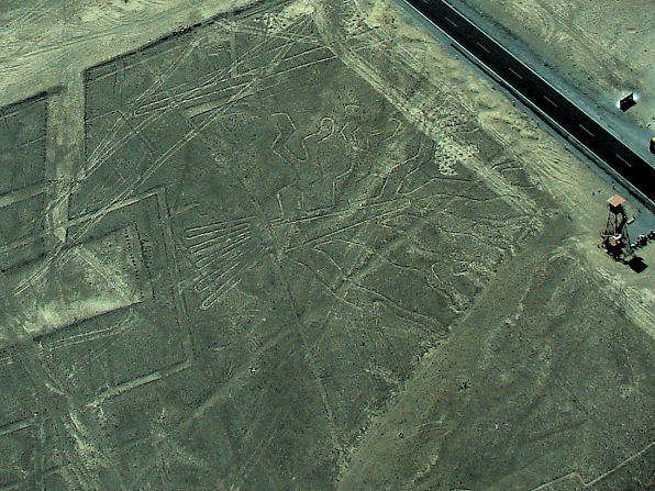 'Tree of Life' or Huarango Tree Nazca Lines. Peru Travels And Tours Photos, Pictures, Images, & Reviews.