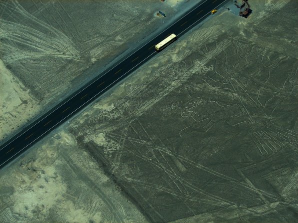 'Tree of Life' or Huarango Tree Nazca Lines. Peru Travels And Tours Photos, Pictures, Images, & Reviews.