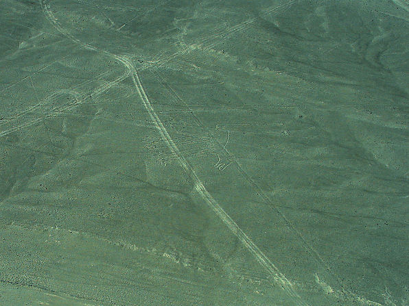 Dog Nazca Lines. Peru Travels And Tours Photos, Pictures, Images, & Reviews.