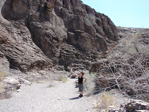 Eve DeLange Looking At Petroglyph. Sloan Canyon Petroglyph Site Near Las Vegas & Henderson, Nevada, In The Northwestern McCullough Mountain Range. Travel & Tour Pictures, Photos, Images, Information & Reviews.