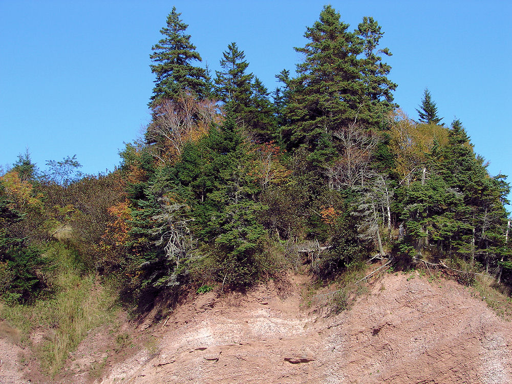 Fall Colors Near Saint Martins Beach. New Brunswick, Canada. Travel, Tours Photos, Pictures, Information, & Reviews.