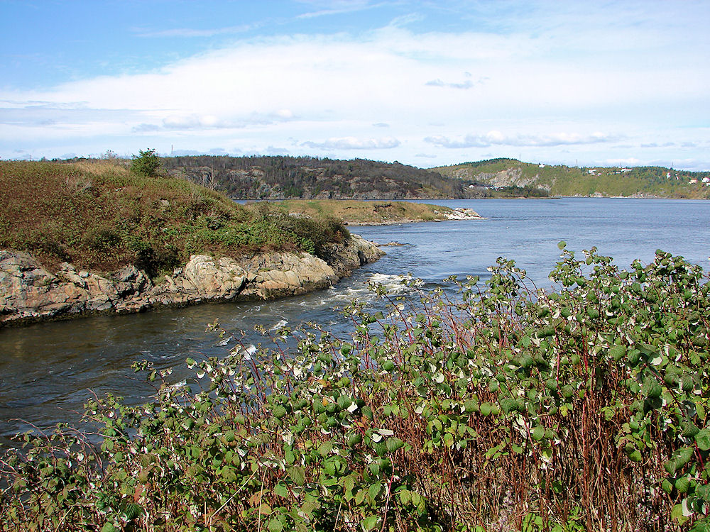 Reverse Flow Of Water At Reversing Falls. Saint John, New Brunswick, Canada. Travel, Tours Photos, Pictures, Information, & Reviews.