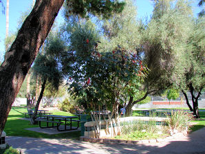 Garden Of  Southwest College Of Naturopathic Medicine Campus in Tempe, Arizona