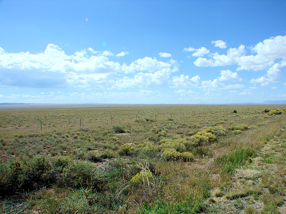 Plains of  San Agustin. Very Large Array NRAO In Distance On Right. New Mexico. Hikes, Travels, & Tours. Photos, Pictures, Images,& Reviews.