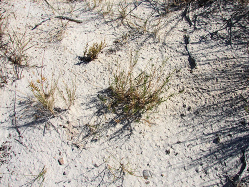 White Sands National, Monument. New Mexico. Hikes, Travels, & Tours. Photos, Pictures, Images, & Reviews.