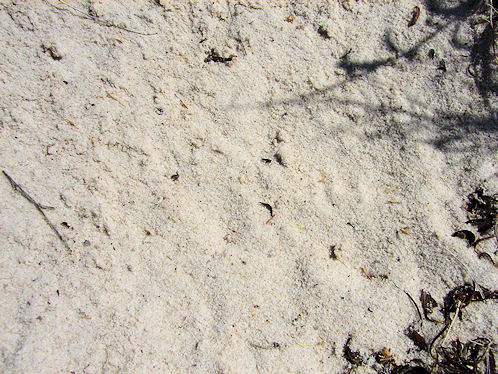 White Sands National, Monument. New Mexico. Hikes, Travels, & Tours. Photos, Pictures, Images,& Reviews.