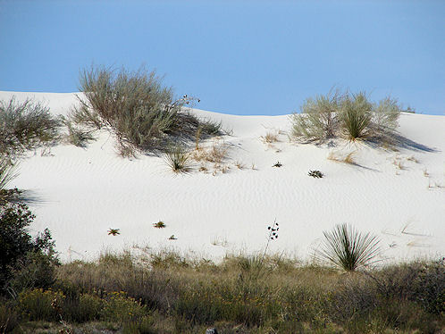 White Sands National, Monument. New Mexico. Hikes, Travels, & Tours. Photos, Pictures, Images,& Reviews.