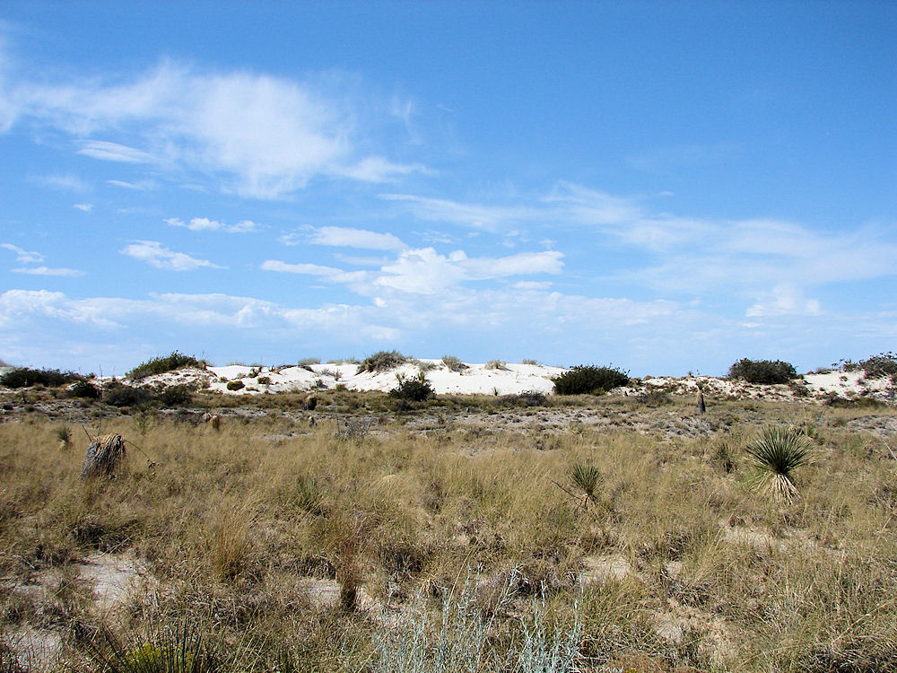 White Sands National, Monument Dunes. New Mexico. Hikes, Travels, & Tours. Photos, Pictures, Images,& Reviews.